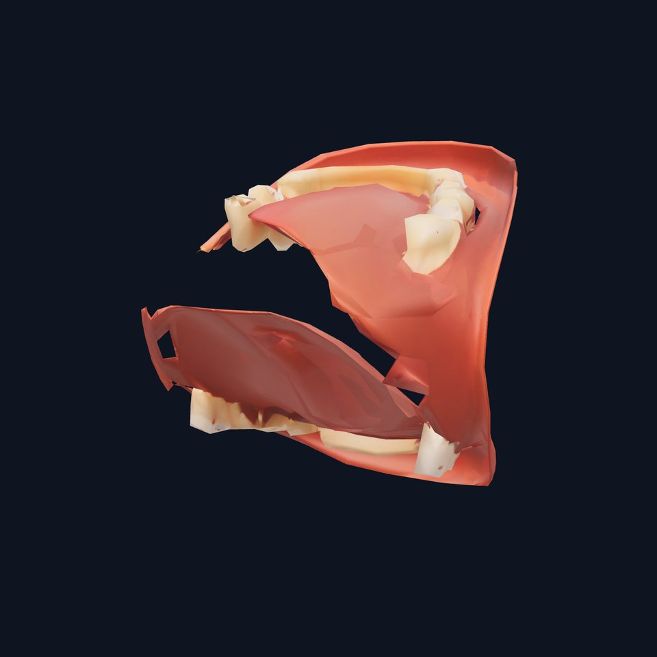 Realistic Mouth Anatomy model pack